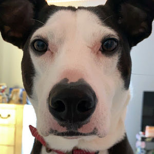 Meet your Posher, Rayna